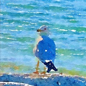 Great Lakes Watercolor Blank Greeting Cards Set 4